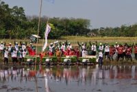 Petugas Diperta Kabupaten Probolinggo turun langsung ke sawah bersama petani untuk mendorong percepatan tanam padi dan memperkuat ketahanan pangan daerah.