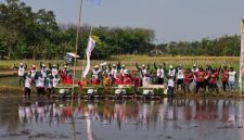 Petugas Diperta Kabupaten Probolinggo turun langsung ke sawah bersama petani untuk mendorong percepatan tanam padi dan memperkuat ketahanan pangan daerah.