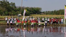 Petugas Diperta Kabupaten Probolinggo turun langsung ke sawah bersama petani untuk mendorong percepatan tanam padi dan memperkuat ketahanan pangan daerah.