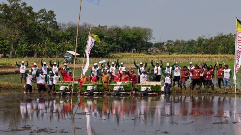 Petugas Diperta Kabupaten Probolinggo turun langsung ke sawah bersama petani untuk mendorong percepatan tanam padi dan memperkuat ketahanan pangan daerah.