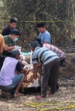 berita-rekomendasi-foto