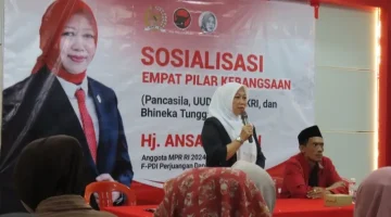 Anggota DPR RI Hj. Ansari Kecam Keras Dugaan Kekerasan Seksual Bocah 14 Tahun di Pamekasan