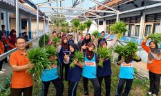 berita-pilihan-foto
