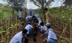 berita-pilihan-foto