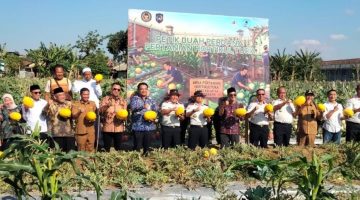 Panen 5.400 Semangka Golden di Lapas Pamekasan, Program Ayunda Sejahtera Dorong Warga Binaan Mandiri