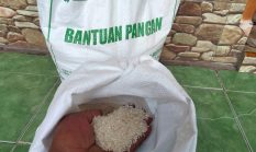 berita-pilihan-foto